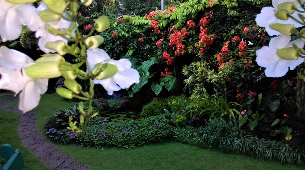 Glory Homestay Kandy Dış mekan fotoğraf