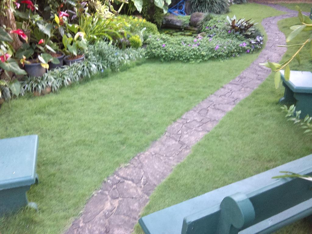 Glory Homestay Kandy Dış mekan fotoğraf