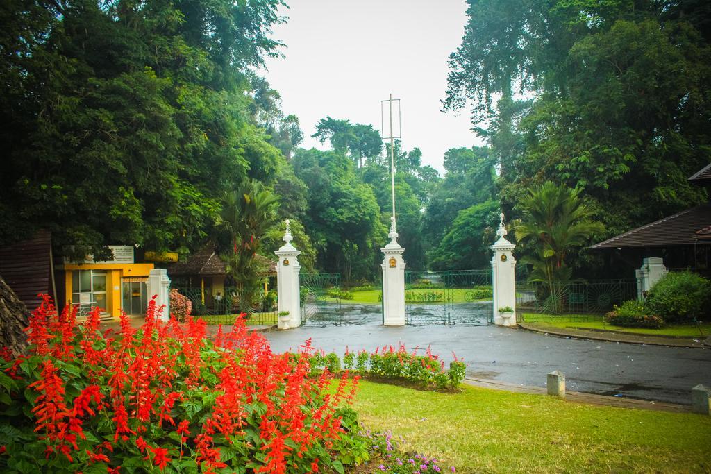 Glory Homestay Kandy Dış mekan fotoğraf